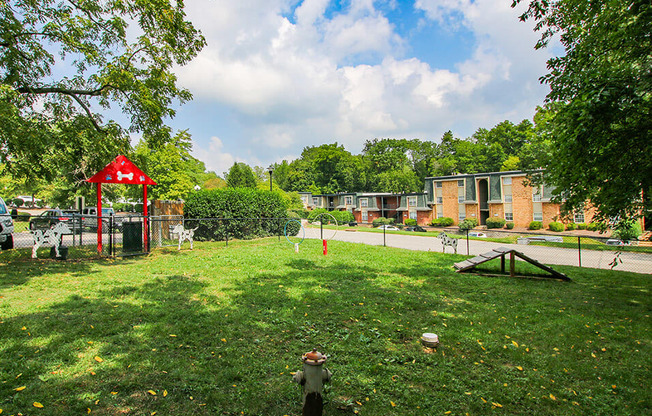 a little boy standing in the grass in a park