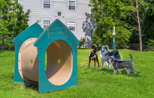 a group of dogs standing around a dog house in the grass