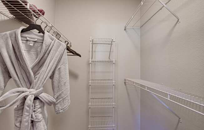 Large Closet at Carmel Creekside, Fort Worth, TX