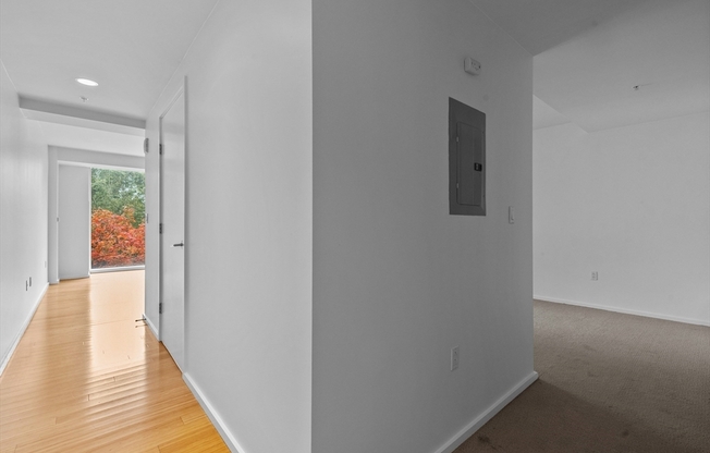1 bed, 1 bath, 665 sqft, $3,250, Unit 321