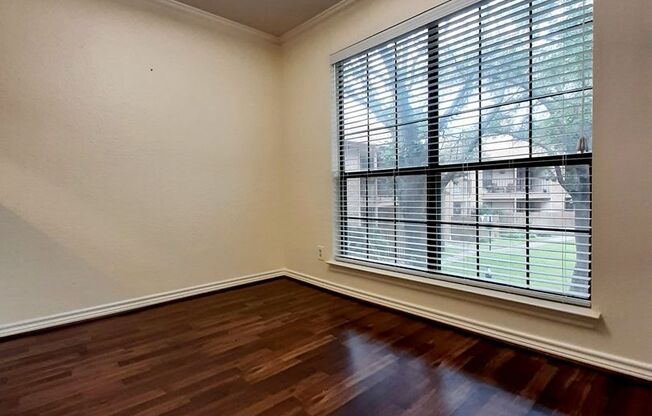 1 bed, 1 bath, $1,509