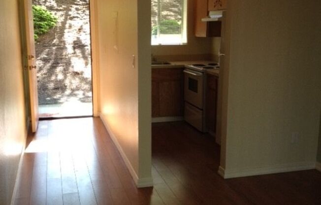 1 bed, 1 bath, 590 sqft, $1,250, Unit 101