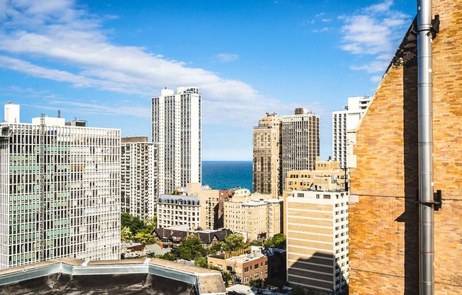 Lovely City View at 14 West Elm Apartments, Chicago, 60610