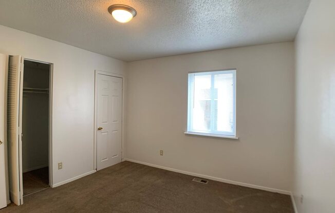 carpeted bedroom with large closet