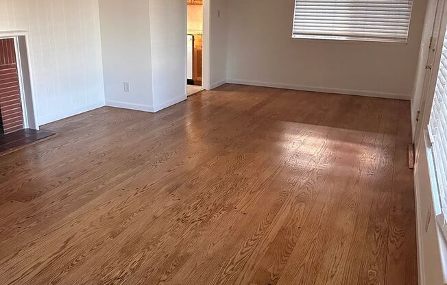 Garden of the Gods 3/1