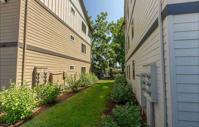 A row of houses with green lawns and bushes at Forestplace Apartment Homes, Forest Grove, OR