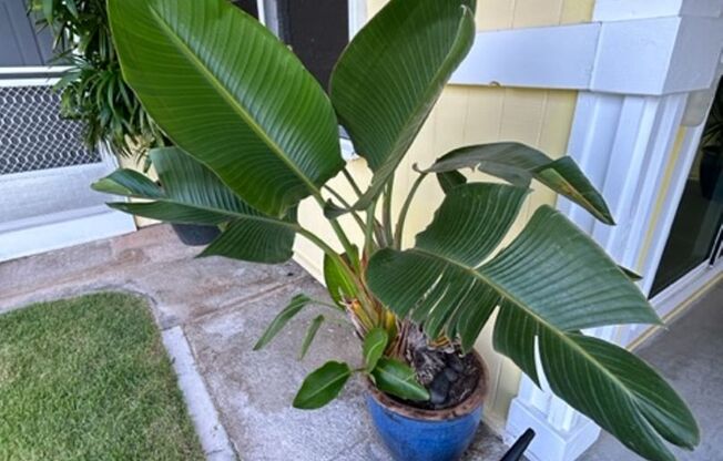 Available on 12/16/25, spacious 1570 sq ft, 3 Bedrooms, 2 Baths, 2 Car Garage Single-Family Home in Kailua