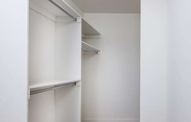 A white closet with shelves and a door open.