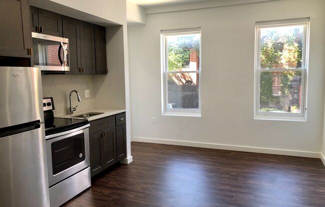 1 bed, 1 bath, 478 sqft, $1,520, Unit 308