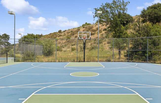 basketball hoop and a goal