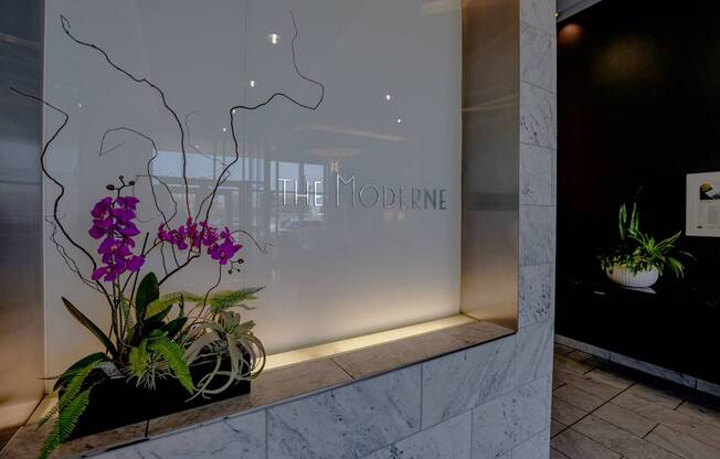 A glass window with a plant in front of it and a sign that says "The Moderne".