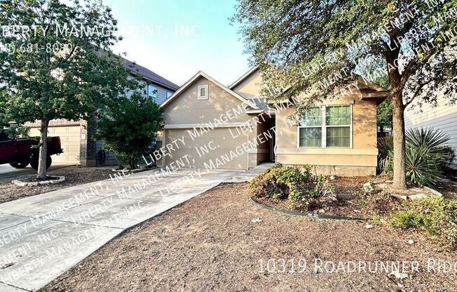 10319 ROADRUNNER RDG