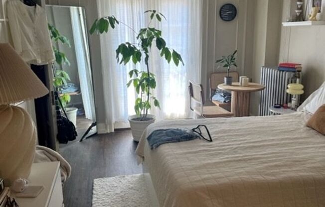 Studio, 1 bath, 300 sqft, $850, Unit 401