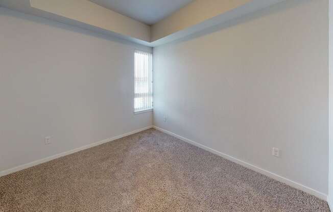 Carpeted Bedroom