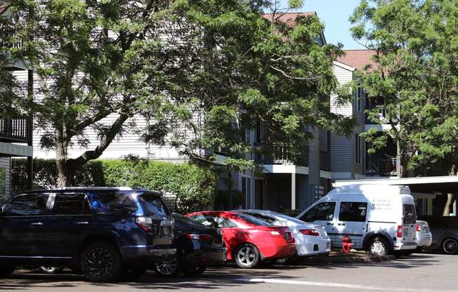 Parking Area at Townfair Apartments, Oregon, 97030