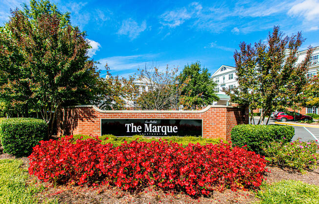 Welcome to The Marque!