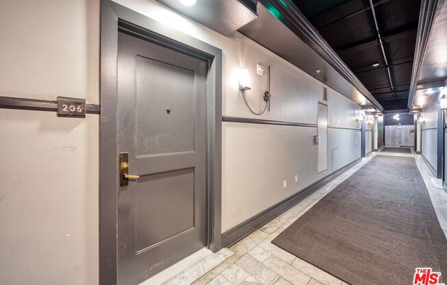 Studio, 1 bath, 460 sqft, $1,800, Unit 206