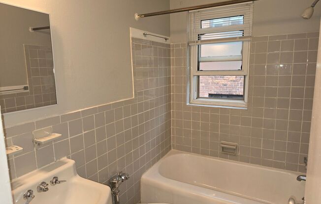 Studio, 1 bath, 500 sqft, $995, Unit 305