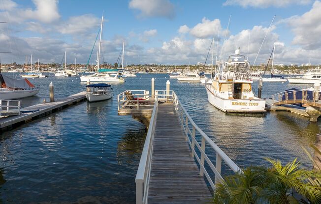 Newport Beach Bay Front with Dock