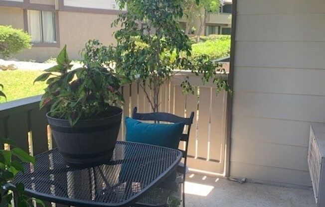 1 bed, 1 bath, $2,350