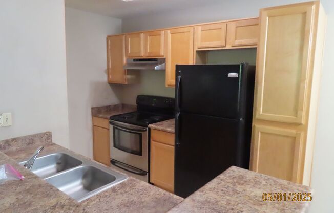 1 bed, 1 bath, $1,399, Unit # 238