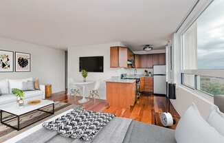 Studio Floor Plan Evanston