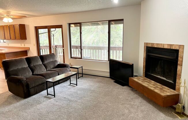 Freshly Renovated - Southside 3 Bedroom