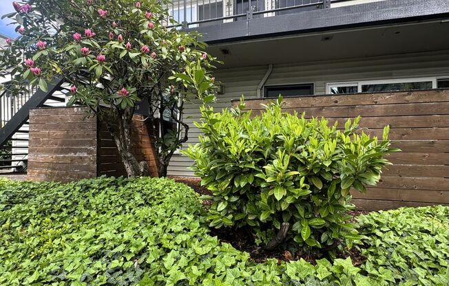 1 bed, 1 bath, $1,200, Unit 26