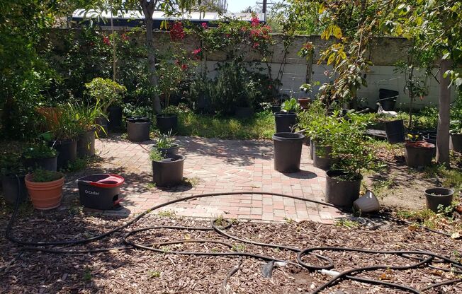 (((Available))) 3BR 1 BA House Shared w/ADU 673 E. Margarita Rd Rialto