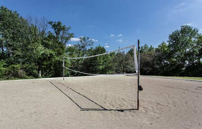 A volleyball net stands on a sandy court with trees in the background.
