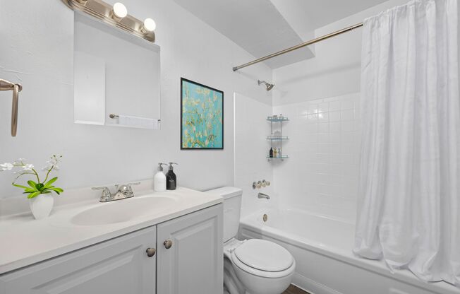 Amazing Renovated Apartments