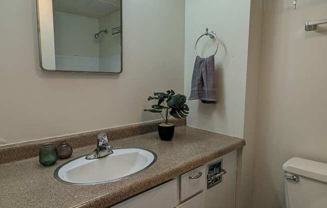 a bathroom with a sink and a mirror and a toilet