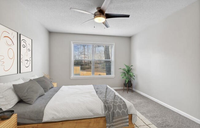 Model Bedroom with Carpet & Window View at Element 41 Apartments in Marietta, GA.