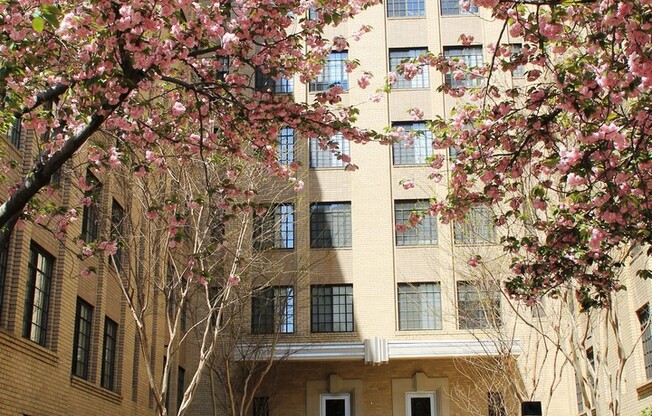 1 bed, 1 bath, 505 sqft, $2,450, Unit 220
