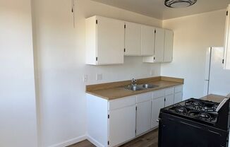 Studio, 1 bath, 450 sqft, $1,599, Unit 209