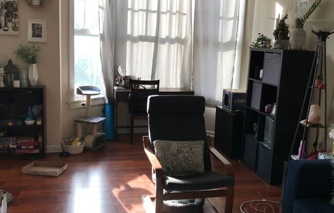 1 bed, 1 bath, 528 sqft, $1,300, Unit 206