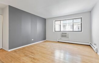 Studio, 1 bath, 275 sqft, $1,325, Unit 438