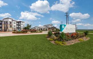 Williamson at the Overlook