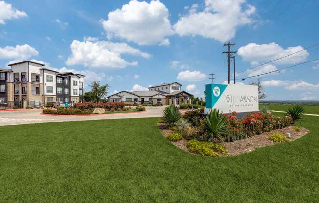 Williamson at the Overlook