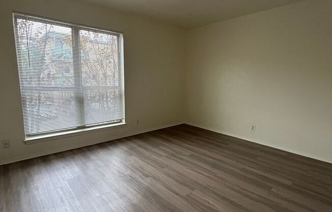 1 bed, 1 bath, 570 sqft, $1,249, Unit OPA-221