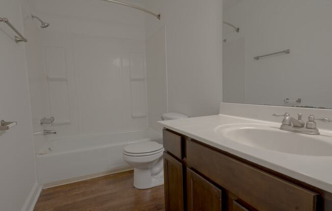 a bathroom with a sink and a toilet and a bath tub