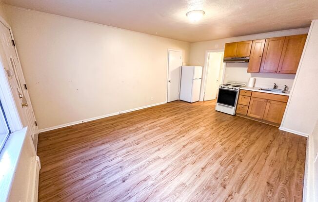 Studio, 1 bath, 250 sqft, $1,295, Unit 03