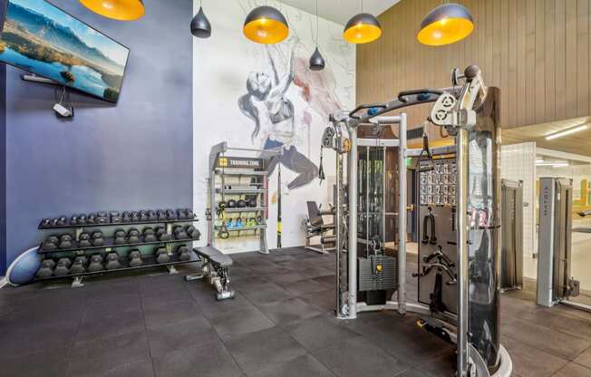 a gym with weights and a mural on the wall