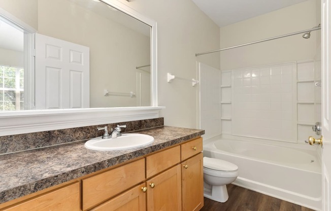 a bathroom with a sink and a toilet and a shower