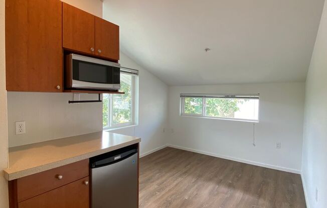 Studio, 1 bath, 170 sqft, $1,295, Unit 3510