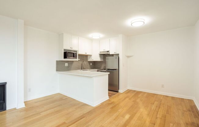 Studio, 1 bath, 519 sqft, $2,450, Unit 309