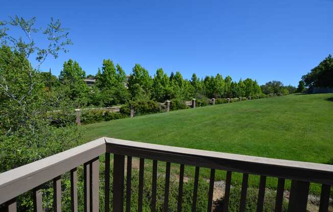 large lawn and trees