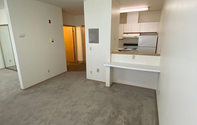 Studio, 1 bath, 462 sqft, $1,295, Unit 225