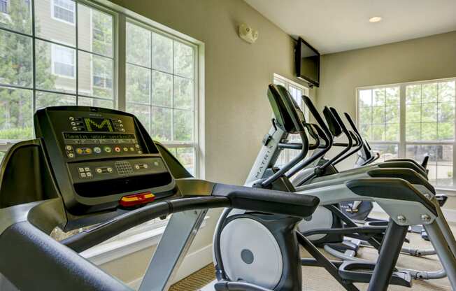 our apartments have a gym with a treadmill and a flat screen tv