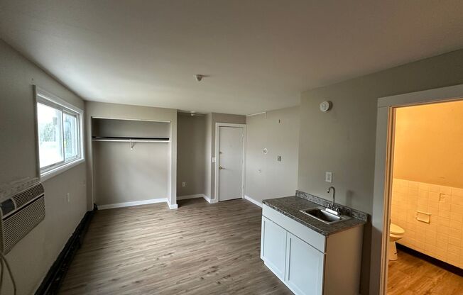 Studio, 1 bath, $916, Unit 101